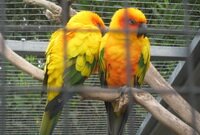 Esperance Bird & Animal Park